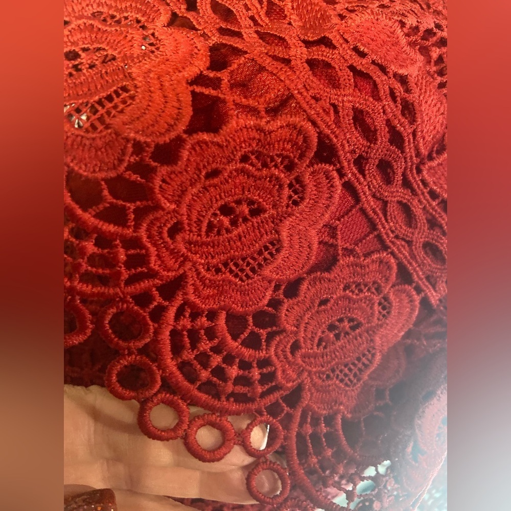 L & F~NWT~Lovely~Tiered Ruffle~Sheer Netting~Embroidered Lace~Mini Dress~Size S - Picture 14 of 15